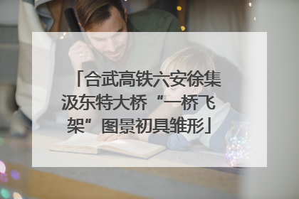 合武高铁六安徐集汲东特大桥“一桥飞架”图景初具雏形