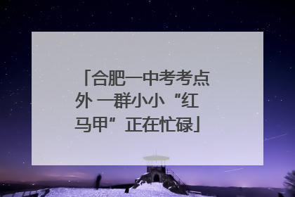 合肥一中考考点外 一群小小“红马甲”正在忙碌