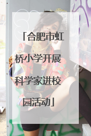 合肥市虹桥小学开展科学家进校园活动