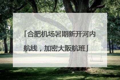 合肥机场暑期新开河内航线，加密大阪航班