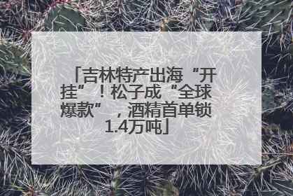 吉林特产出海“开挂”！松子成“全球爆款”，酒精首单锁1.4万吨