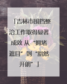 吉林市围挡整治工作取得显著成效 从“拥堵遮目”到“豁然开朗”