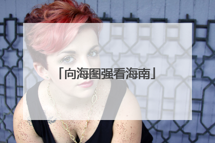 向海图强看海南