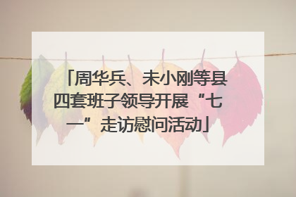 周华兵、未小刚等县四套班子领导开展“七一”走访慰问活动