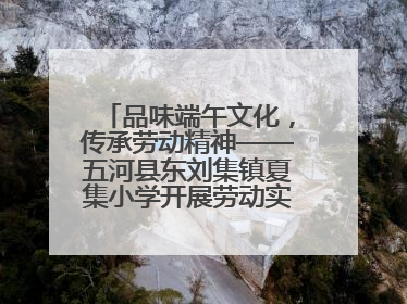 品味端午文化，传承劳动精神——五河县东刘集镇夏集小学开展劳动实践教育活动
