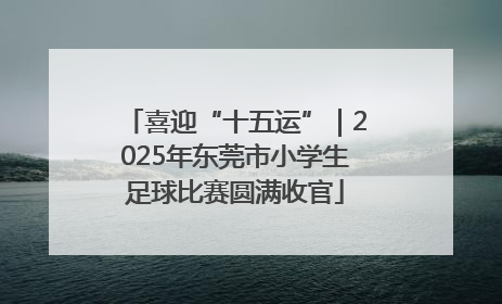 喜迎“十五运”｜2025年东莞市小学生足球比赛圆满收官