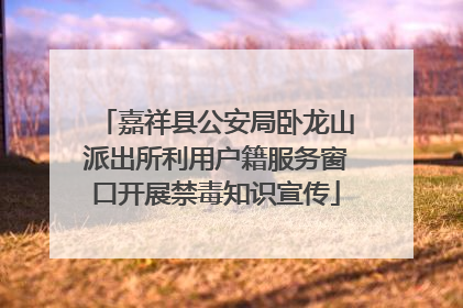 嘉祥县公安局卧龙山派出所利用户籍服务窗口开展禁毒知识宣传