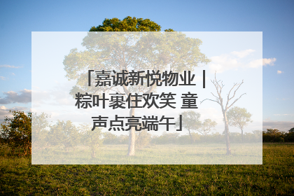 嘉诚新悦物业｜粽叶裹住欢笑 童声点亮端午