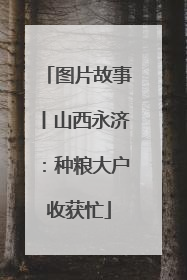 图片故事丨山西永济：种粮大户收获忙