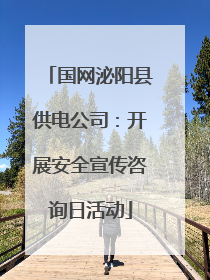 国网泌阳县供电公司：开展安全宣传咨询日活动
