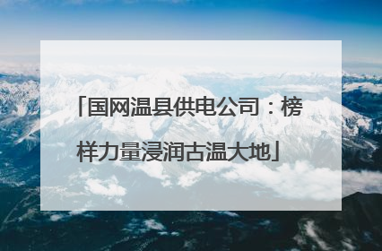 国网温县供电公司：榜样力量浸润古温大地