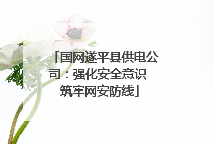 国网遂平县供电公司：强化安全意识 筑牢网安防线
