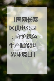 国网长泰区供电公司：守护绿色生产赋能世界环境日