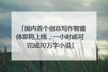 国内首个创意写作智能体即将上线，一小时或可完成30万字小说