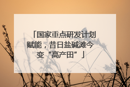 国家重点研发计划赋能，昔日盐碱滩今变“高产田”