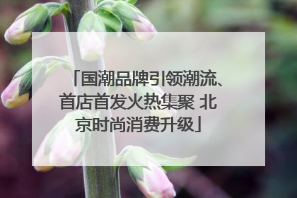 国潮品牌引领潮流、首店首发火热集聚 北京时尚消费升级