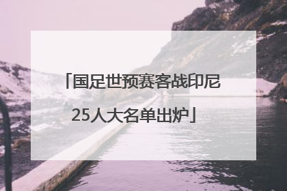 国足世预赛客战印尼25人大名单出炉