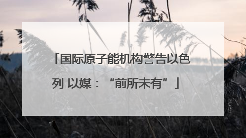 国际原子能机构警告以色列 以媒：“前所未有”