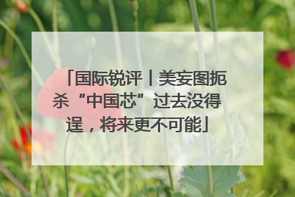 国际锐评丨美妄图扼杀“中国芯”过去没得逞，将来更不可能