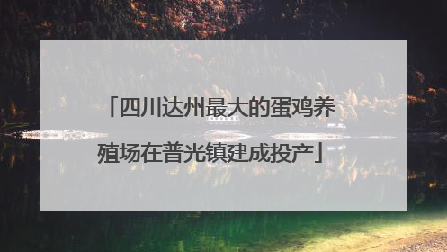 四川达州最大的蛋鸡养殖场在普光镇建成投产