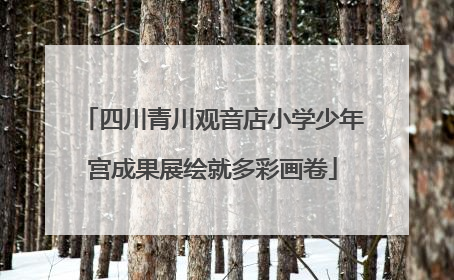 四川青川观音店小学少年宫成果展绘就多彩画卷