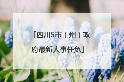 四川5市（州）政府最新人事任免