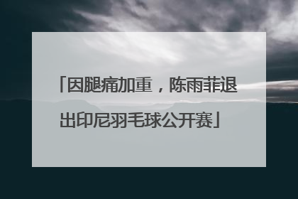 因腿痛加重，陈雨菲退出印尼羽毛球公开赛
