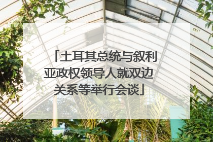 土耳其总统与叙利亚政权领导人就双边关系等举行会谈