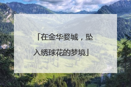 在金华婺城，坠入绣球花的梦境