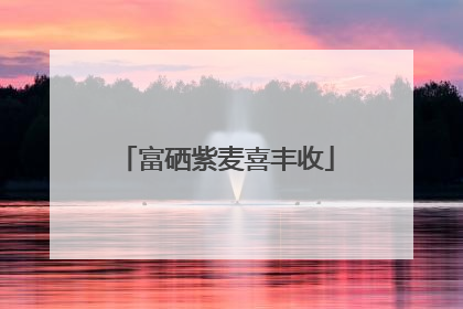 富硒紫麦喜丰收