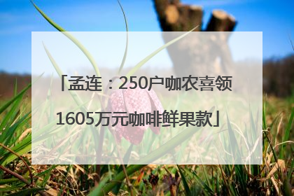 孟连：250户咖农喜领1605万元咖啡鲜果款