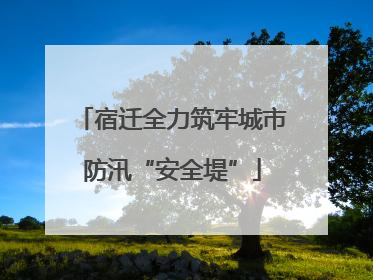 宿迁全力筑牢城市防汛“安全堤”