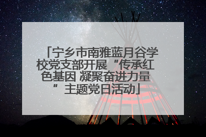 宁乡市南雅蓝月谷学校党支部开展“传承红色基因 凝聚奋进力量”主题党日活动