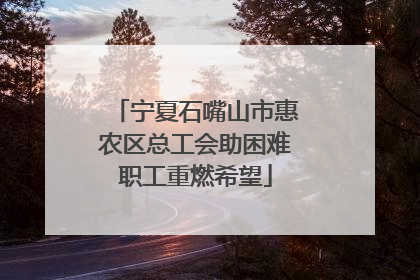 宁夏石嘴山市惠农区总工会助困难职工重燃希望