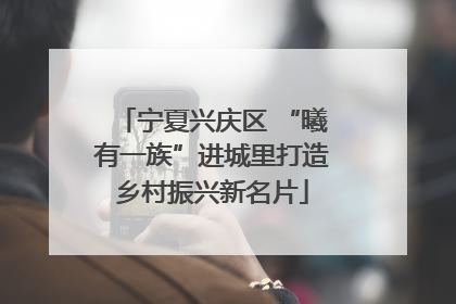 宁夏兴庆区 “曦有一族”进城里打造乡村振兴新名片