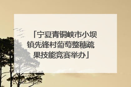 宁夏青铜峡市小坝镇先锋村葡萄整穗疏果技能竞赛举办