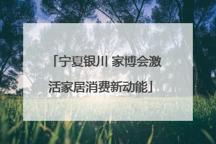 宁夏银川 家博会激活家居消费新动能