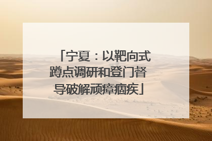 宁夏：以靶向式蹲点调研和登门督导破解顽瘴痼疾