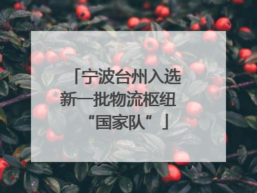 宁波台州入选新一批物流枢纽“国家队”