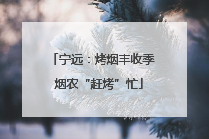 宁远：烤烟丰收季 烟农“赶烤”忙