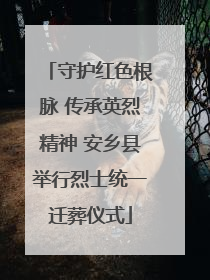 守护红色根脉 传承英烈精神 安乡县举行烈士统一迁葬仪式