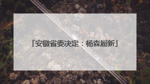 安徽省委决定：杨森履新