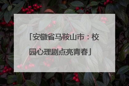 安徽省马鞍山市：校园心理剧点亮青春