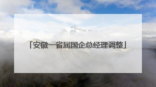 安徽一省属国企总经理调整