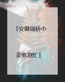 安徽埇桥小麦收割忙