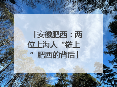 安徽肥西：两位上海人“链上”肥西的背后
