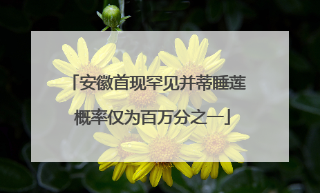 安徽首现罕见并蒂睡莲 概率仅为百万分之一