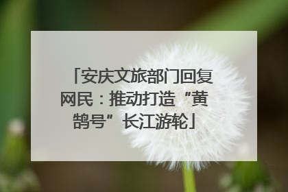 安庆文旅部门回复网民：推动打造“黄鹄号”长江游轮