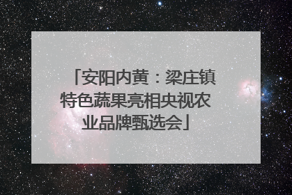 安阳内黄：梁庄镇特色蔬果亮相央视农业品牌甄选会
