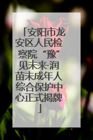 安阳市龙安区人民检察院“豫”见未来·润苗未成年人综合保护中心正式揭牌